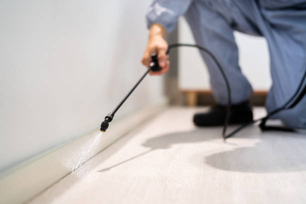 Licensed Fumigation Services service in Lewis County County, ID - Nex Pest Control